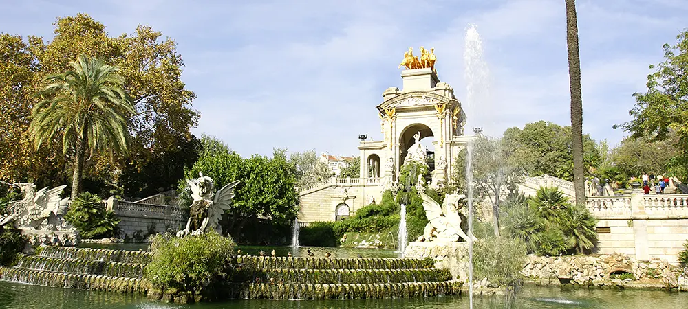 pedelon