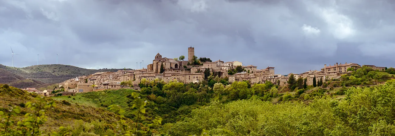 pedelon