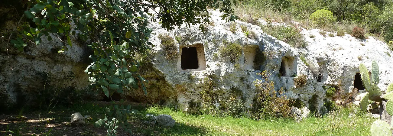 pedelon