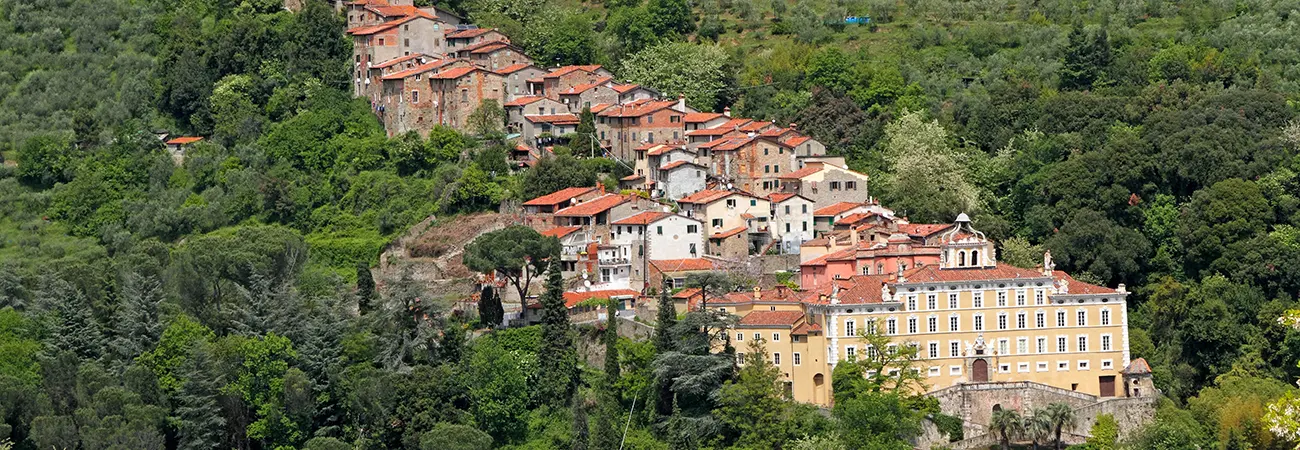 pedelon