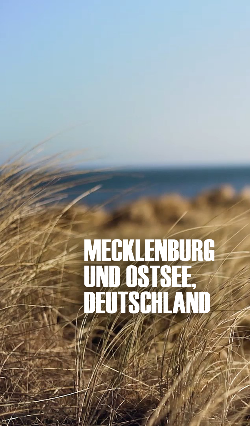 pedelon Startseite 2026